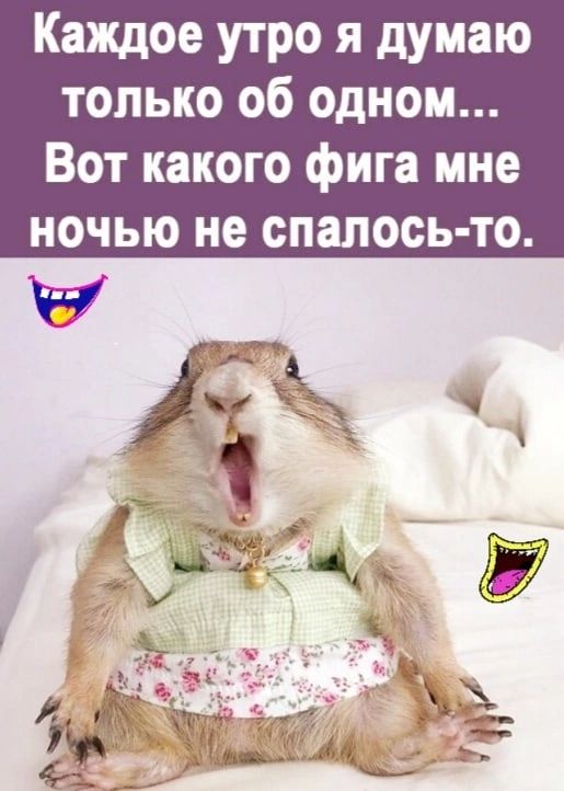Каждое утро я думаю только об одном Вот какого фига мне ночью не спалось то
