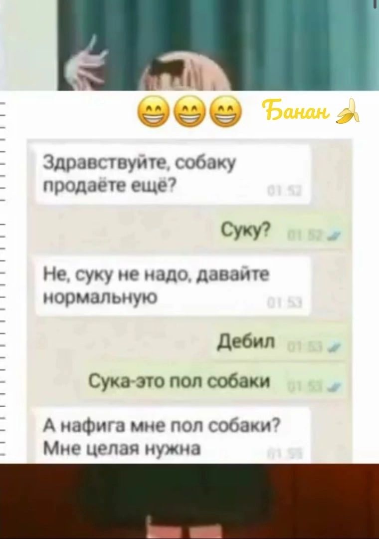 Щ Здравсшуию собаку продает еще7 Суку Не суку не надо лаваше нормальную дебил Сука зю пол собаки А нафига мне поп собаки Мне црпап нужна