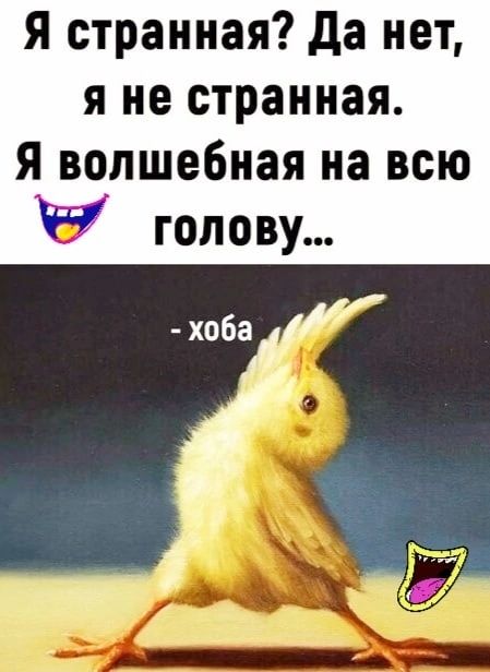 Я странная да нет я не странная я волшебная на всю голову