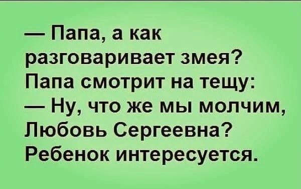 Папа а как разговаривает змея Папа смотрит на тещу Ну что же мы молчим Любовь Сергеевна Ребенок интересуется