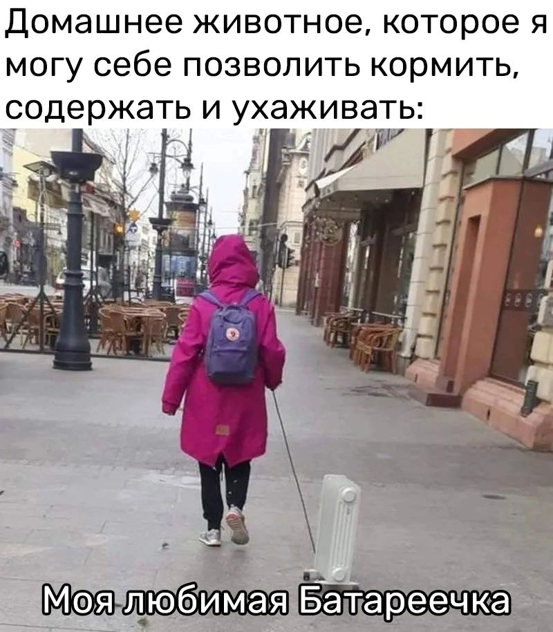 Домашнее животное которое я могу себе позволить кормить содержать и ухаживать