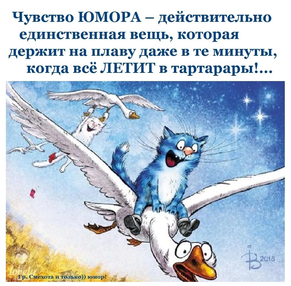 Чувство ЮМОРА действительно единственная вещь которая держит на плаву даже в те минуты когда всё ЛЕТИТ в тартарарьй
