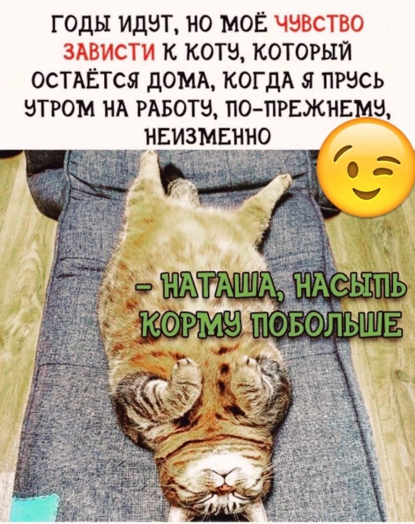 ГОДЫ ИДЭТ НО МОЁ ЧЗВСТВО ЗАВИСТИ К КОТВ КОТОРЫЙ ОСТАЁТСЯ дОМА КОГДА Я ПРЗСЬ НТРОМ НА РАБОТЫ ПО ПРЕЖНЕ иЮ НЕИЗМЕННО