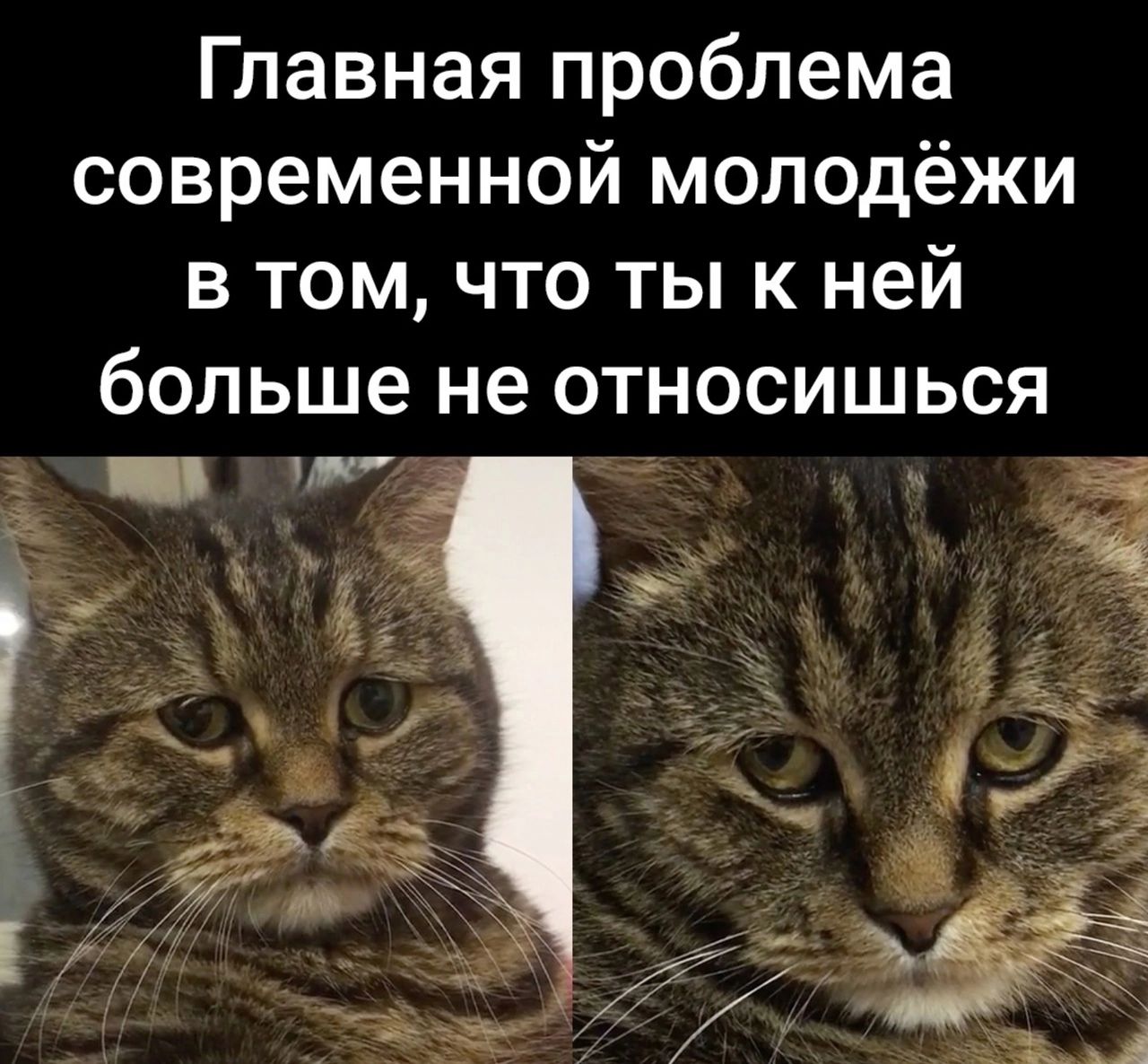 Главная проблема современной молодёжи в том что ты к ней больше не относишься