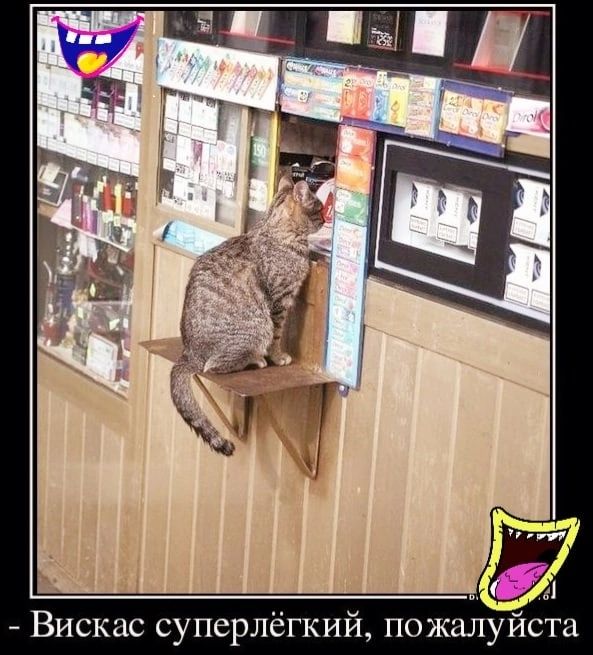 Вискас суперлёгкий пожалуиста