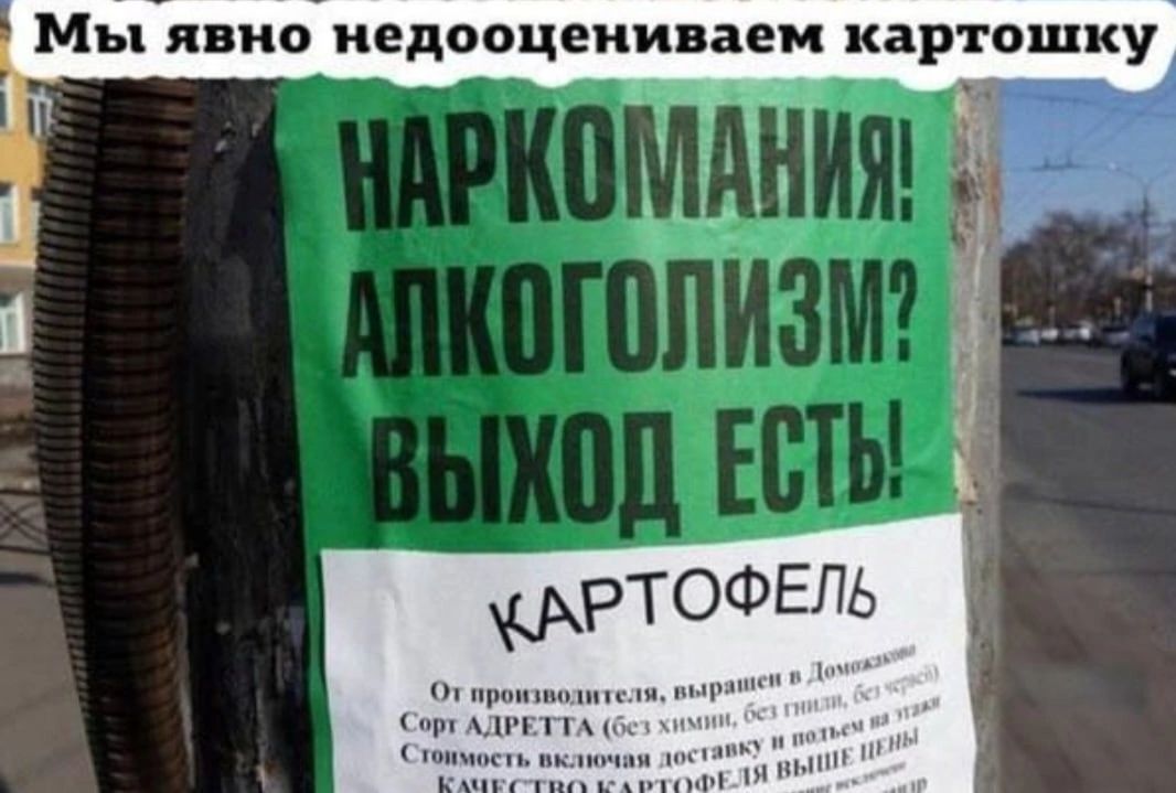 Мы явно иедооцеииваем картошку _