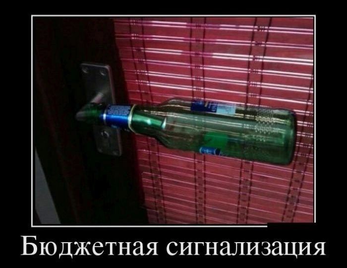 Бюджетная СИГНЗЛИЗЗЦИЯ