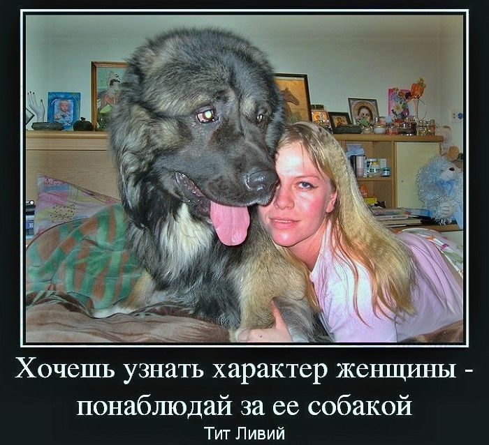 Хочешь узнать характер жешшпш понаблюдай за ее собакой Тиг Ливий