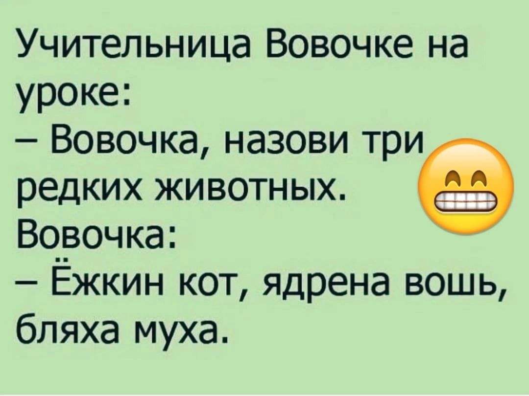 Учительница Вовочке на уроке Вовочка назови три редких животных Верочка Ежкин кот ядрена вошь бляха муха