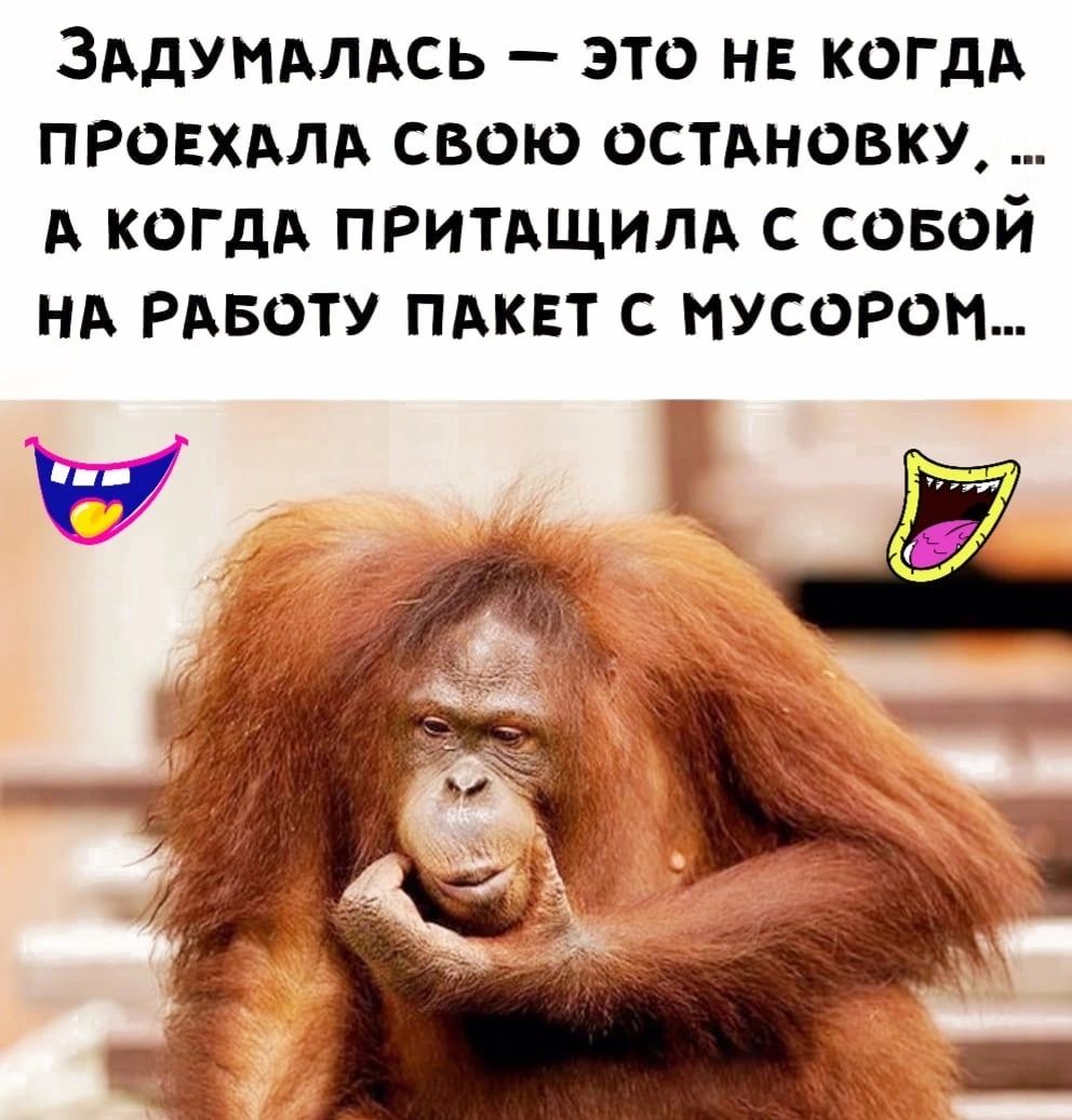 ЗАдУНМАсь это на когдА ПРОЕХАЛА свою остдновку А когдА ПРитдщилд с совой нд РАБОТУ пдквт с мусором