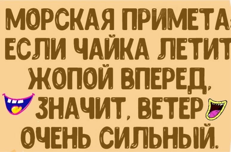 МОРСКАЯ ПРИМЕТА ЕСЛИ ЧАИКА ЛЕТИТ ЖОПОИ ПЕРЕД ЗНАЧИТ ВЕТЕР ОЧЕНЬ СИЛЬНЫИ