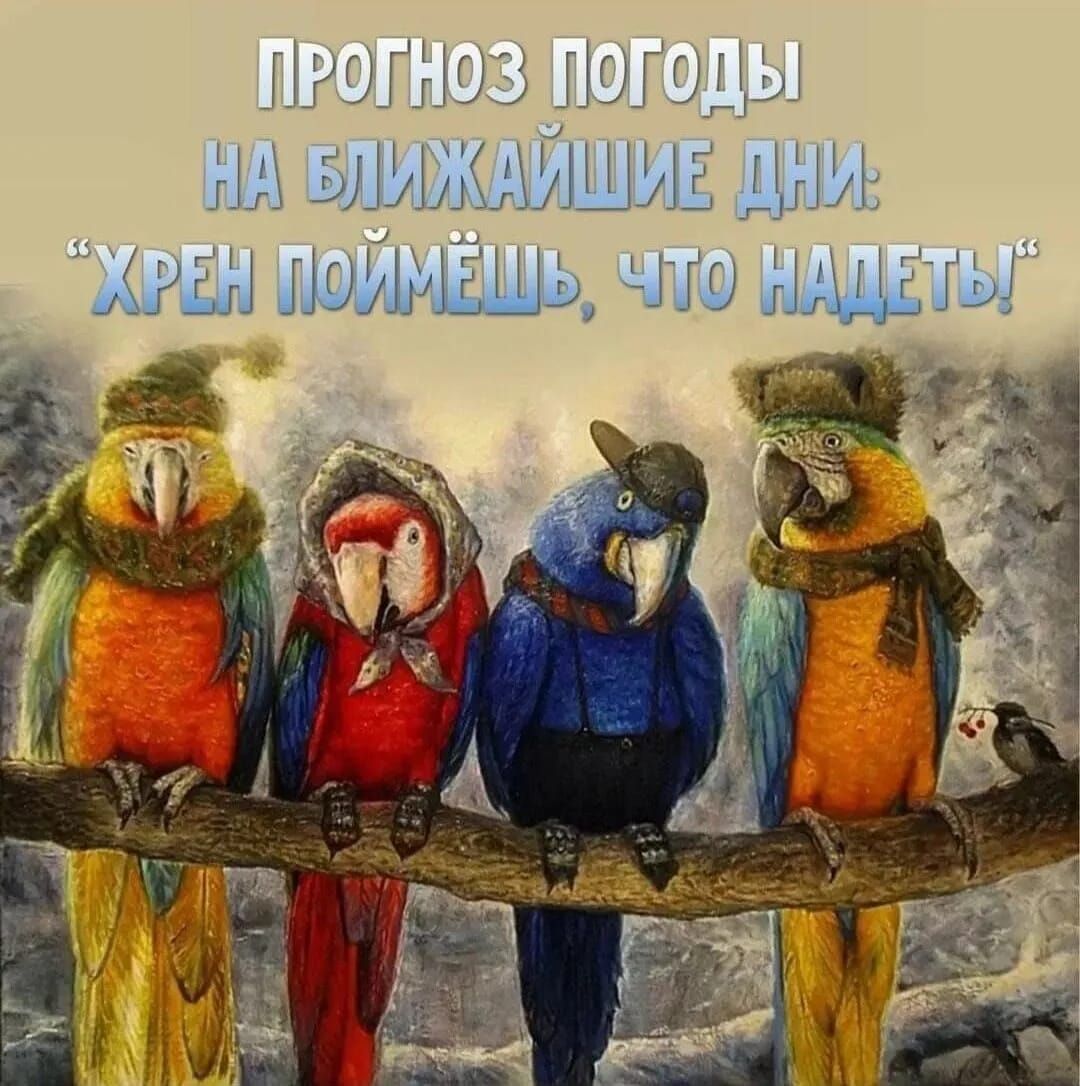 Ш ОЦ элиШшиг ции мы ииэьёщь мшты