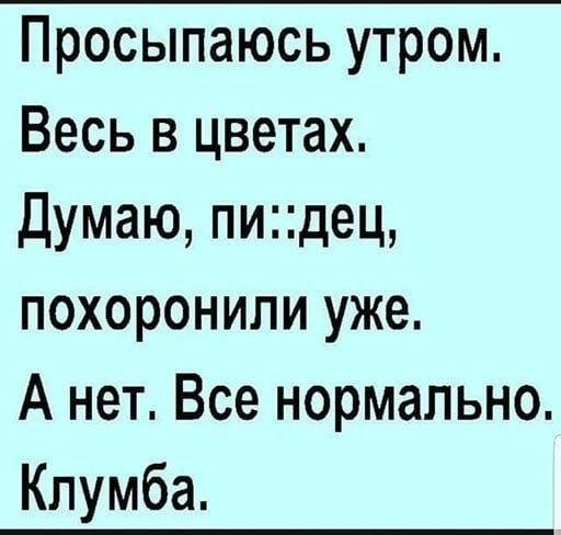 Просыпаюсь утром Весь в цветах Думаю пидец похоронили уже А нет Все нормально Клумба