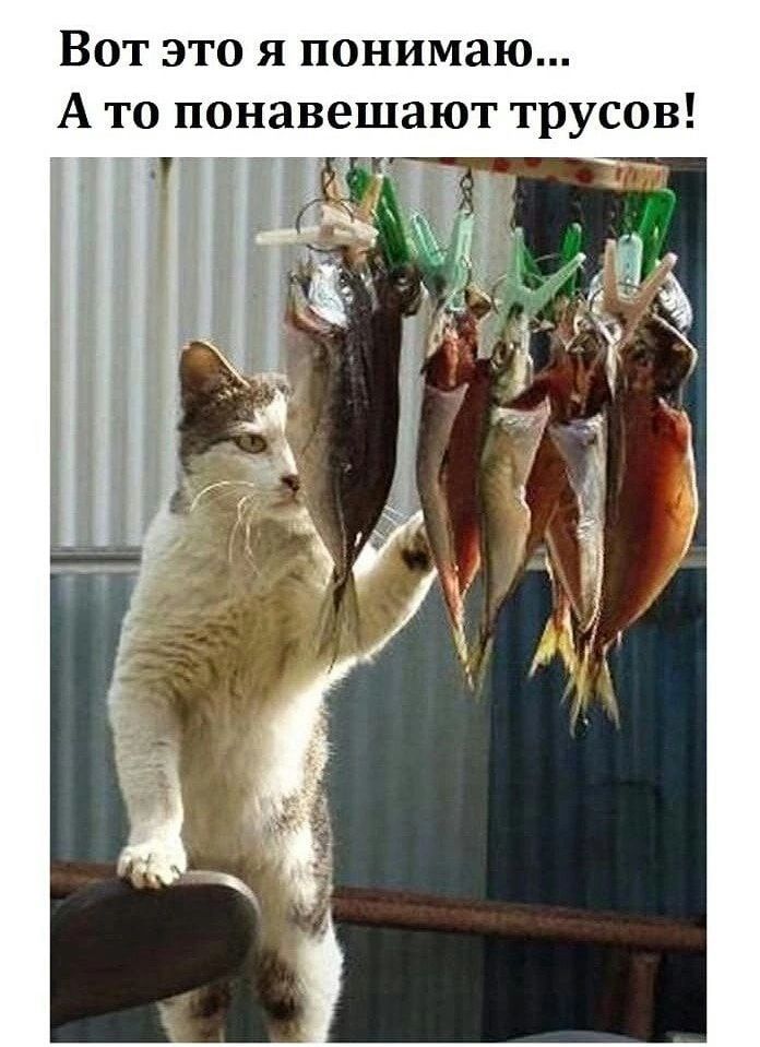 Вот это я понимаю А то понавешают трусов