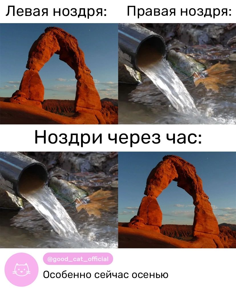 Левая ноздря Правая ноздря Особенно сейчас осенью