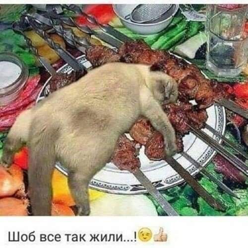и п И ж К а т е С В 6 0 Ш