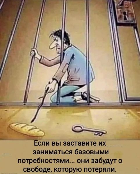 й іыёаёіёёиійі заниматься базовыми потребностями они забудут о свободе которую потеряли