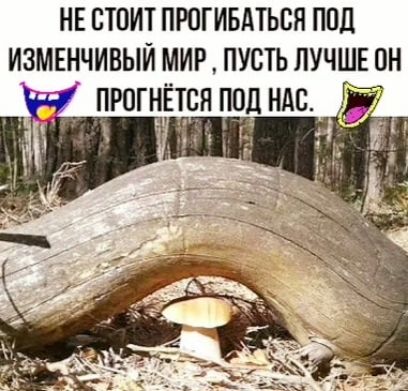 НЕ СТОИТ ПРПГИБАТЪСЯ ПОЛ ИЗМЕНЧИВЫИ МИР ПУСТЬ ЛУЧШЕ ОН ПРОГНЁТСЯ ПОЦ НАС