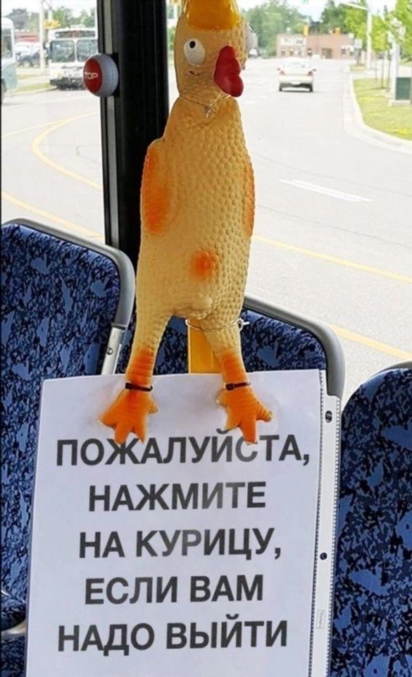 _ _ _ Ё ПОЖАЛУЙЬТА нджмитв НА курицу ЕСЛИ ВАМ НАДО выйти