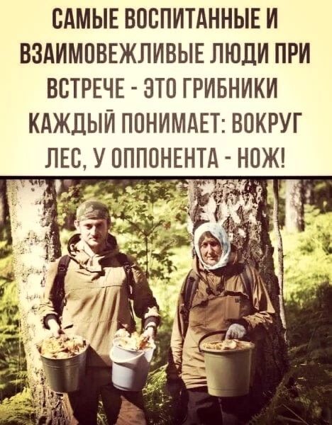 САМЫЕ ВОБПИТАННЫЕ И ВЗАИМПВЕЖЛИВЫЕ ЛЮДИ ПРИ ВСТРЕЧЕ ЭТП ГРИБНИКИ КАЖДЫЙ ППНИМАЕТ ВОКРУГ ЛЕС У ППППНЕНТА НОЖ