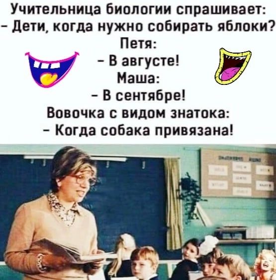 Учительница Биологии спрашивает дети когда нужно собирать яблоки Петя и В августе Маша В сентябре Вовочка видом знатока Когда собака привязана