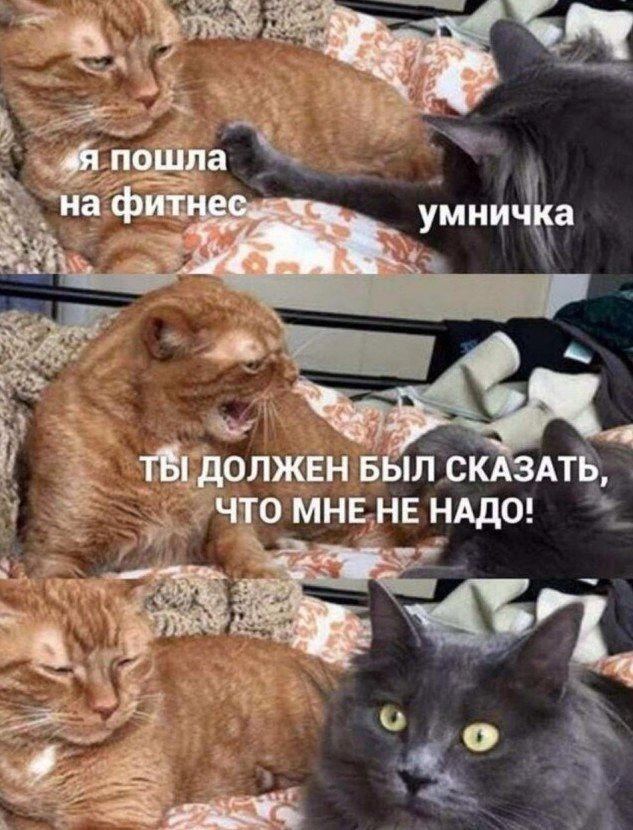 Ш умин ___ джи ЖЕНБ тс оннднвнддоА Ё