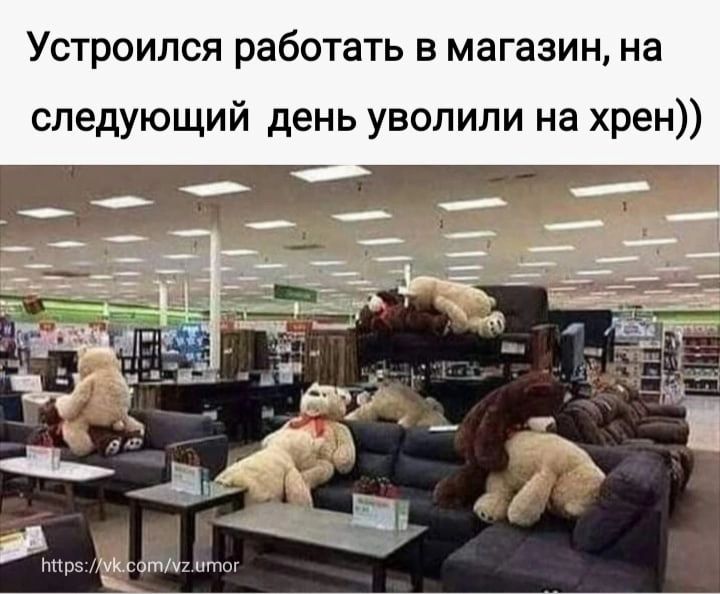 Устроился работать в магазин на следующий день уволили на хрен
