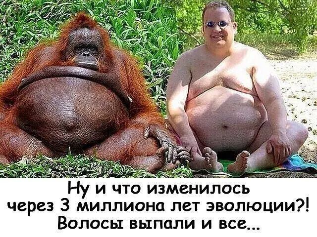Ну и что изменилбсь через 3 миллиона лет Эволюции Волосы выпали и все