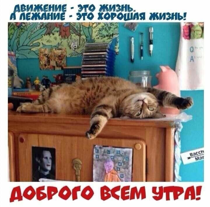 ВИ И ЖИЗНЬ ПЕ ИО _ХОРОШАЯ ЖИЗНЬ _ 133 д ЕМ И