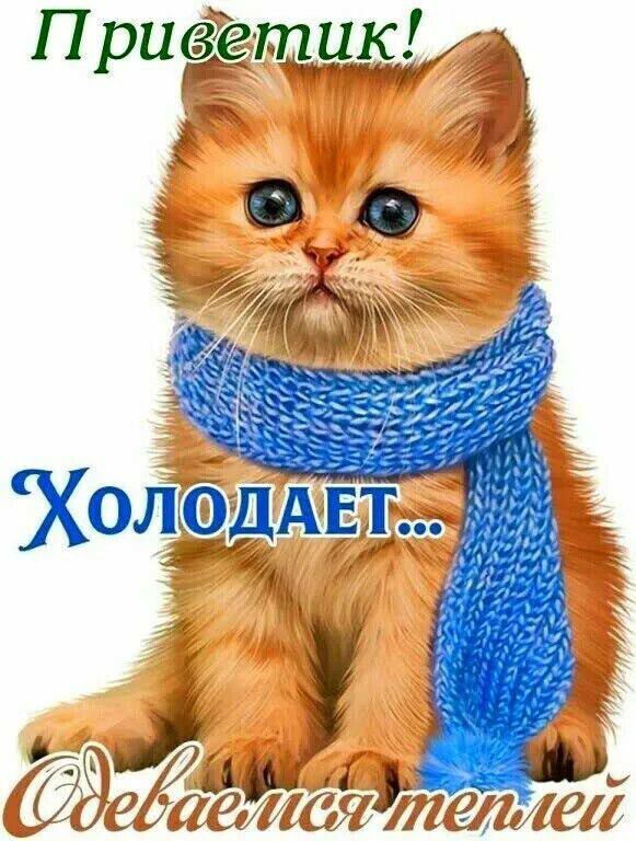 П риёещцы пё буд СЭТЖЗ Мэдди