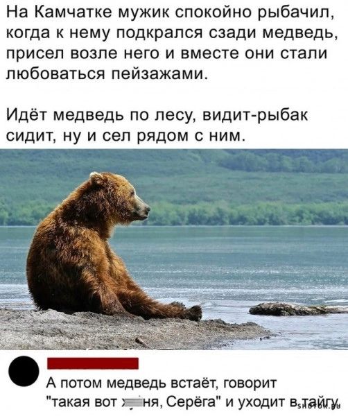 На Камчатке мужик спокойно рыбачиш когда к нему подкрался сзади медведь присел возле него и вместе они стали любоваться пейзажами Идёт медведь по лесу видитрыбак СИДИТ НУ И сеп РЯДОМ С НИМ _ А потом медведь встаёт говорит такая вот ёия Серега и уходит визит