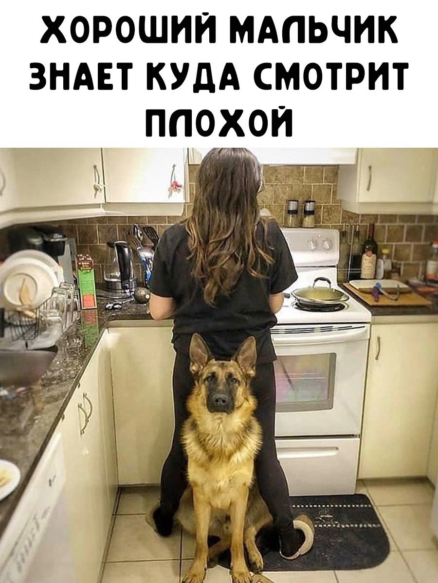 ХОРОШИЙ МАПЬЧИК ЗНАЕТ КУДА СМОТРИТ ППОХОИ
