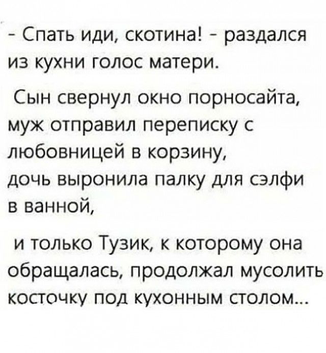 Спать иди скотина раздался из кухни голос матери Сын свернул окно порносайта муж отправил переписку с любовницей в корзину дочь выронила палку для сэлфи в ванной и только Тузик к которому она обращалась продолжал мусолить косточку под кухонным столом