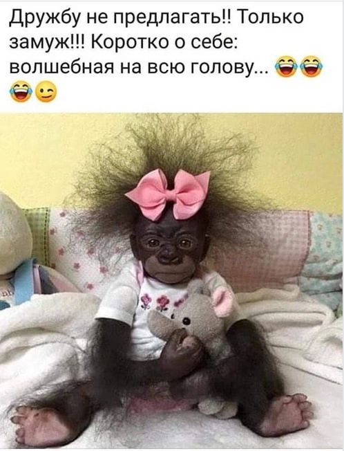 Дружбу не предлагать Только замуж Коротко о себе волшебная на ВСЮ ГОЛОВУ
