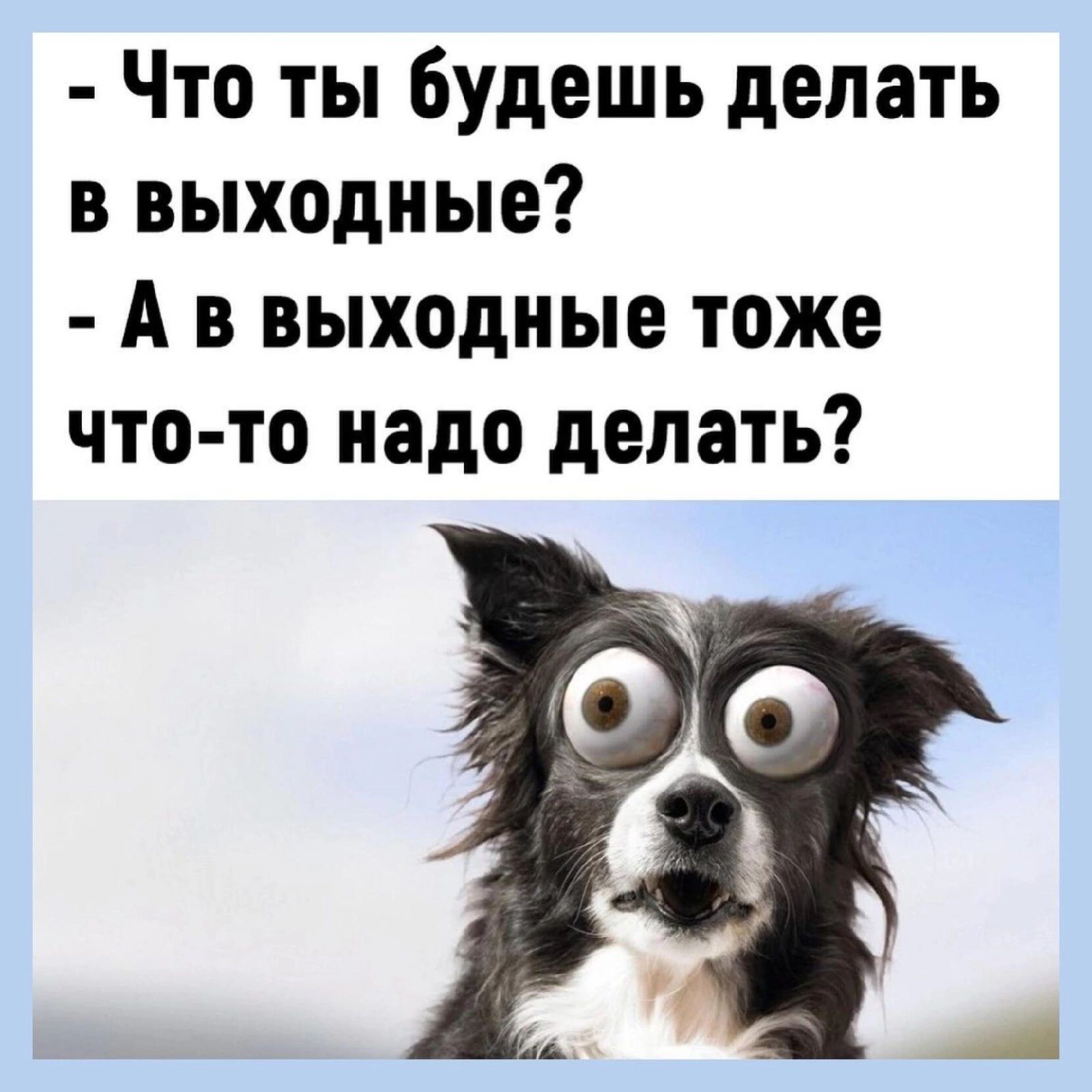 Что ты будешь делать в выходные А в выходные тоже что то надо делать