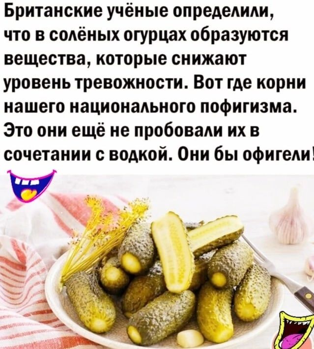 Британские учёные определили что в солёных огурцах образуются вещества которые снижают уровень тревожности Вот где корни нашего национального пофигизма Это они ещё не пробовали их в сочетании с водкой Они бы офигел у у