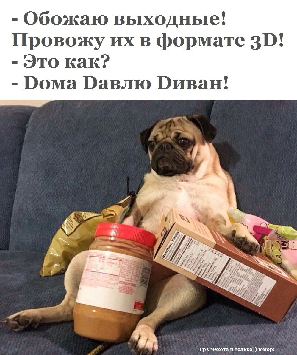 Обожаю выходные Провожу их в формате 31 Это как Пома Вавлю Виван