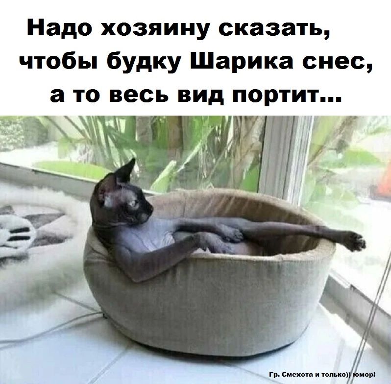 Надо хозяину сказать чтобы будку Шарика снес а то весь вид портит