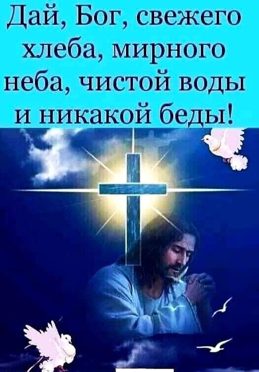 Шайа Бош кеш гиіакыіпш іічікгібщ пЁй1РХЁ0Шо ыабіа пи1сч_іж Шэудгъш _ из икіиъікзгщю Тй Зидан