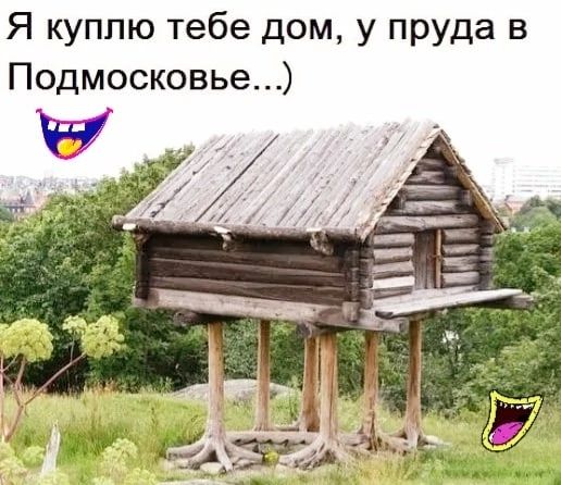 Я куппю тебе дом у пруда в Подмосковье