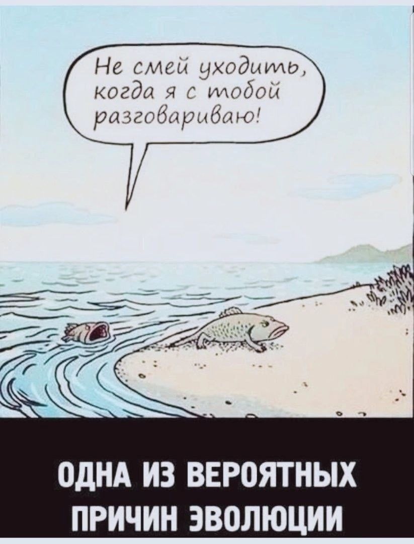 Не смен уходишь когда г одои рыиънрнбшо адм ИЗ ВЕР0ЯТНЫХ ПРИЧИН ЭВОЛЮЦИИ
