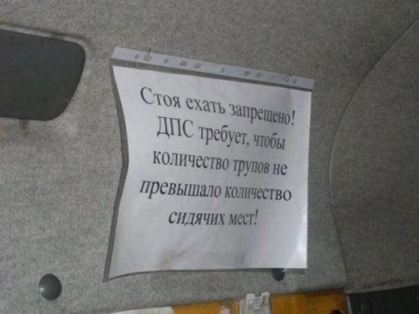 ши и запрещаю ірсфстшбы мч пшщшн ідшпвпс пргкыишю птица твц шт шт