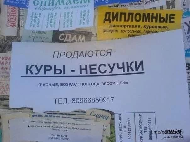 РЫ НЕСУЧКИ _КУ__ инстщ в пептид ш ПРОДАЮТСЯ ТЕП 80966850917