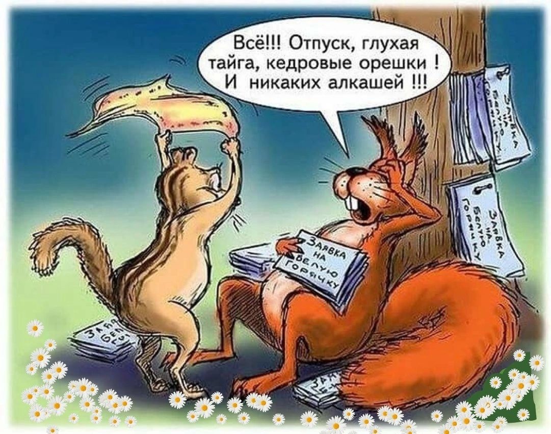 Все Ошуск глухая Уайга кедровые орешки _