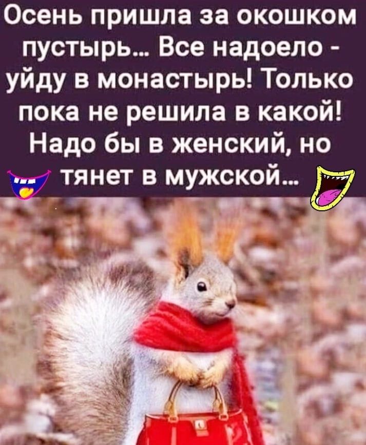 Осень пришпа за окошком пустырь Все надоело уйду в монастырь Только пока не решила в какой Надо бы в женский но в тянет в мужской