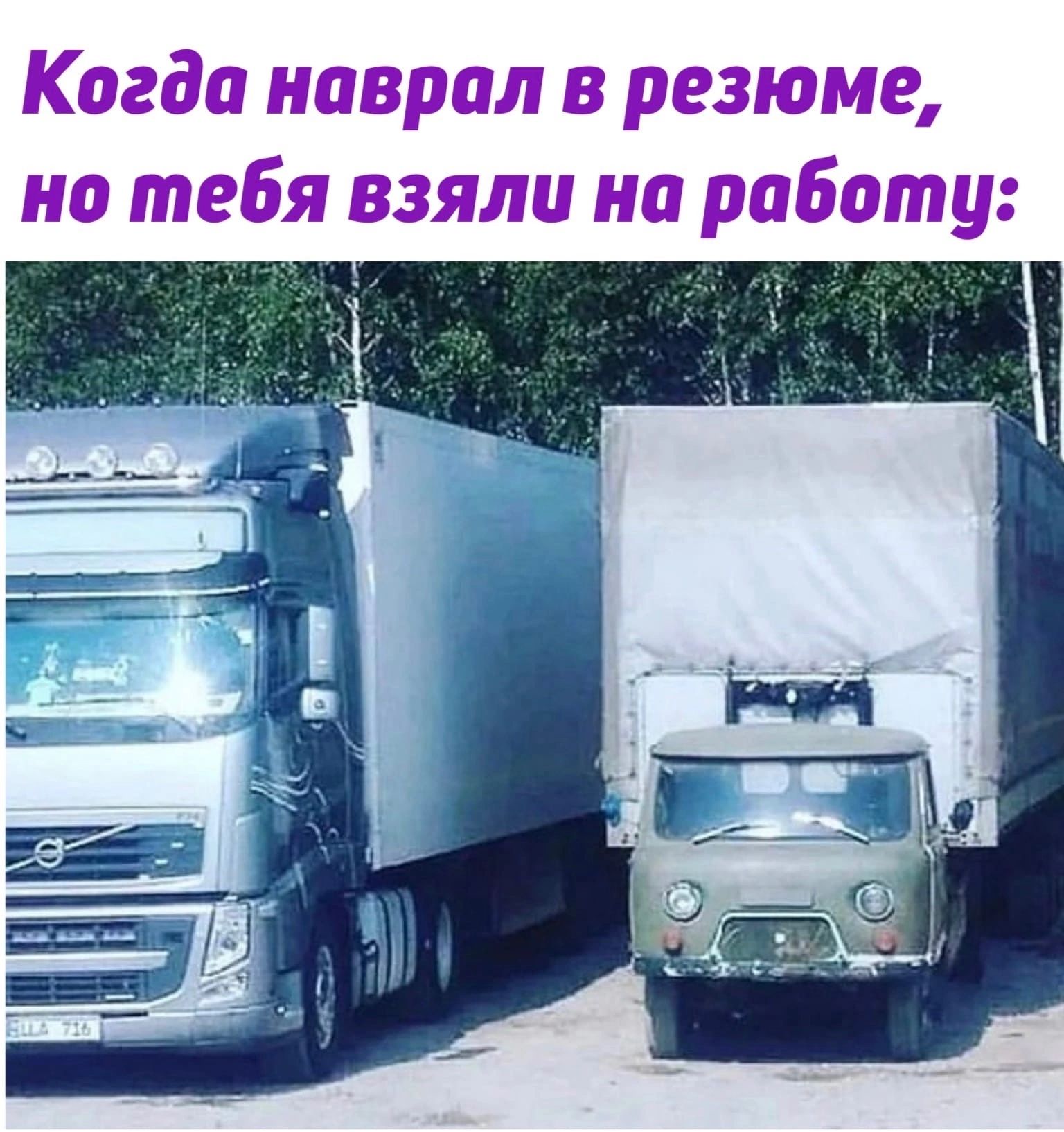 резюм п О Г