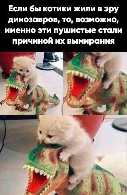 Если бы котики жили в эру динозавров то возможно именно эти пушистые стали причиной их вымирания