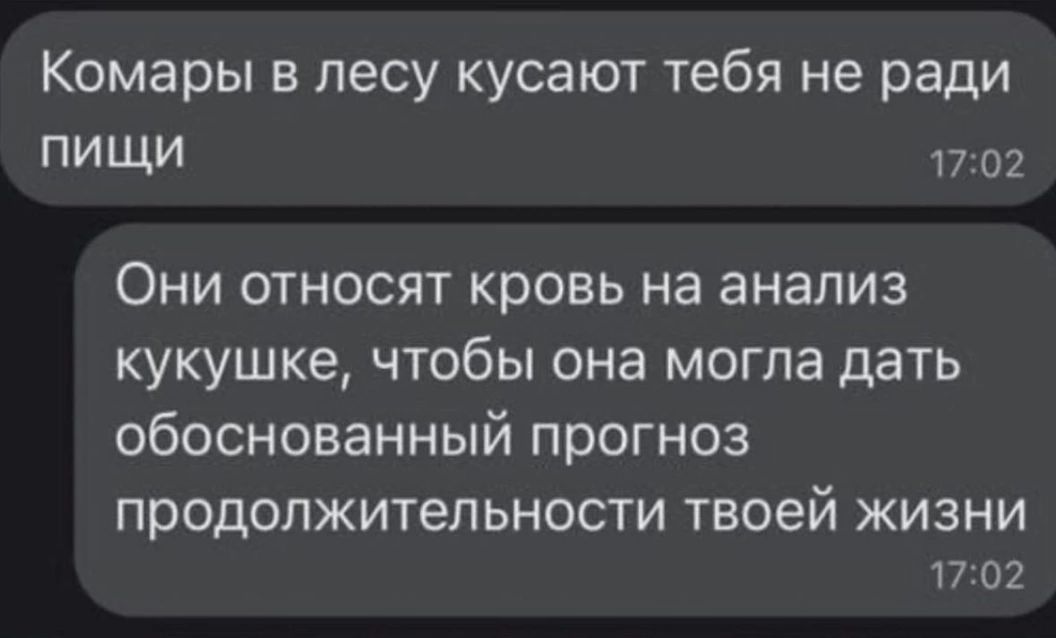 Комары в лесу кусают тебя не ради ПИЩИ 17 02 Они относят кровь на анализ кукушке чтобы она могла дать обоснованный прогноз ПрОДОПЖИТеЛЬНОСТИ твоей ЖИЗНИ 17 02