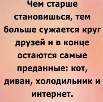 Чем старше становишься тем больше сужается круг друзей и в конце остаются самые преданные кот диван холодильник и интернет