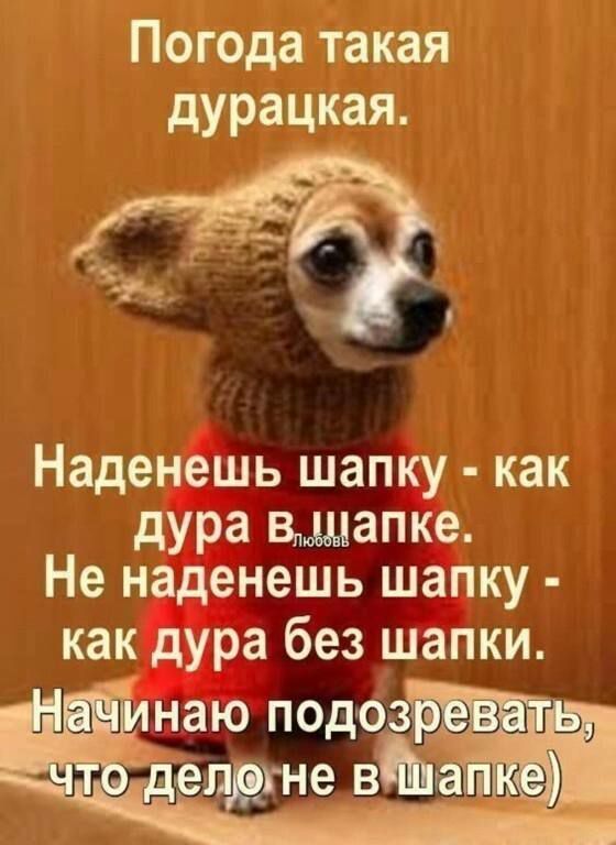 Погода такая